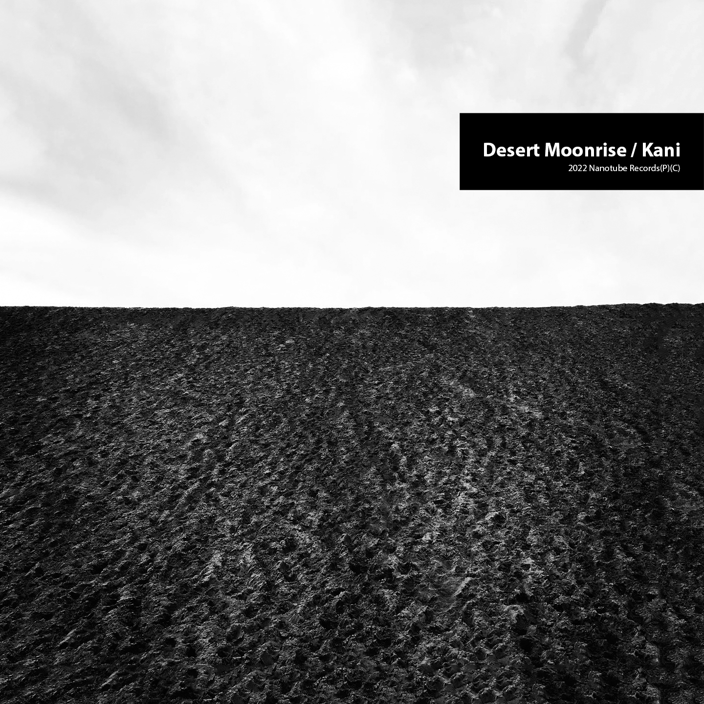 Desert Moonrise / Kani